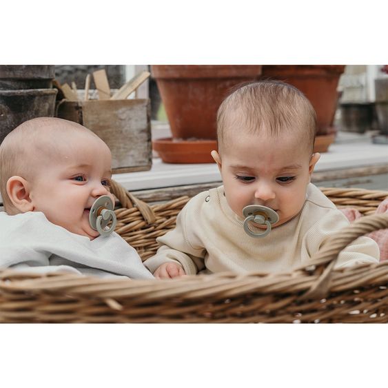 Bibs Schnuller - Colour 2er Pack - Haze / Blossom - Gr. 6-18 M