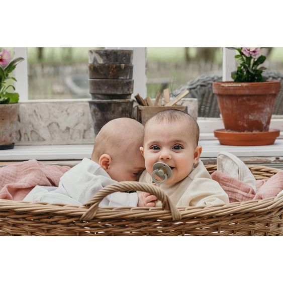 Bibs Schnuller - Colour 2er Pack - Haze / Blossom - Gr. 6-18 M
