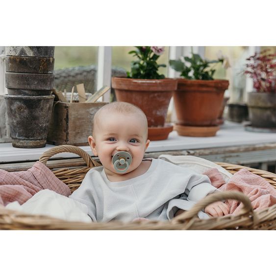 Bibs Schnuller - Colour 2er Pack - Haze / Blossom - Gr. 6-18 M