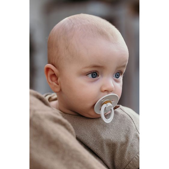 Bibs Schnuller - Colour 2er Pack - Haze / Blossom - Gr. 6-18 M