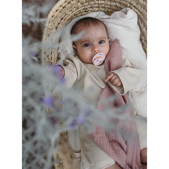 Bibs Schnuller - Colour 2er Pack - Haze / Blossom - Gr. 6-18 M