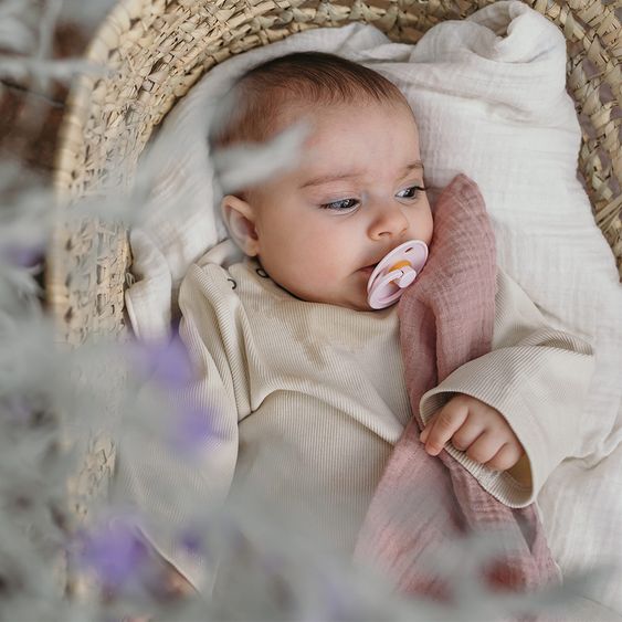 Bibs Schnuller - Colour 2er Pack - Haze / Blossom - Gr. 6-18 M