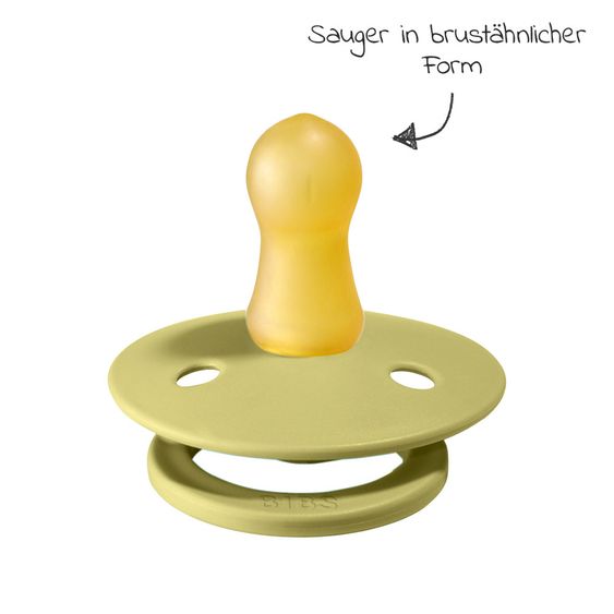 Bibs Schnuller - Colour 2er Pack - Meadow / Earth - Gr. 0-6 M