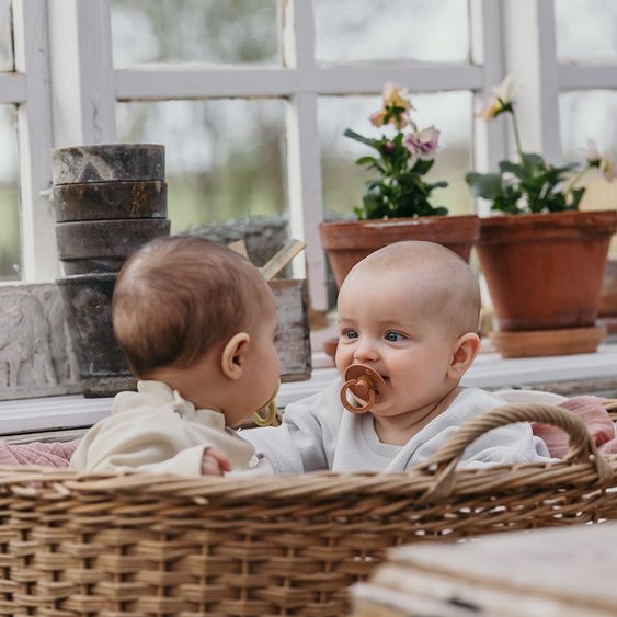 Bibs Schnuller - Colour 2er Pack - Meadow / Earth - Gr. 6-18 M