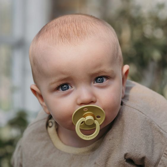 Bibs Schnuller - Colour 2er Pack - Meadow / Earth - Gr. 6-18 M