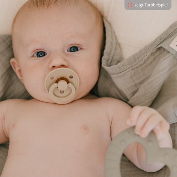 Bibs Schnuller Colour 2er Pack - Mushroom / Breeze - Gr. 0-6 M