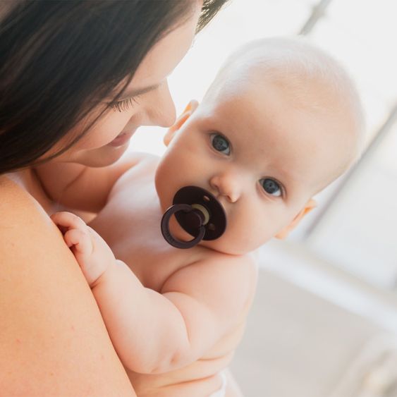 Bibs Pacifier Colour 2-Pack - Petal / Plum - Gr. 0-6 M