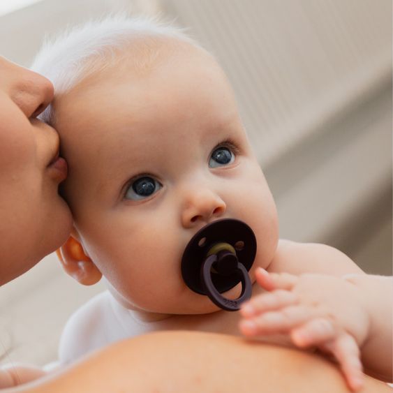 Bibs Pacifier Colour 2-Pack - Petal / Plum - Gr. 0-6 M