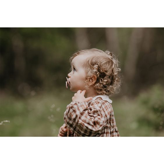 Bibs Schnuller - Colour 2er Pack - Plum / Elderberry - Gr. 6-18 M