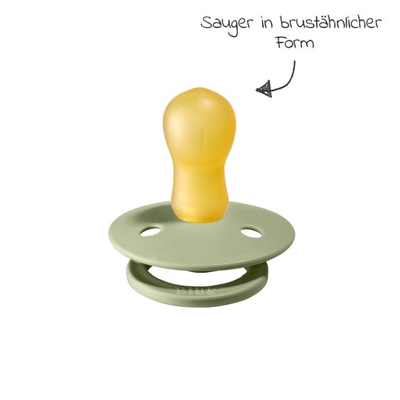 Bibs Schnuller - Colour 2er Pack - Sage / Hunter Green - Gr. 18 M+