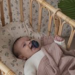 Product Image-6