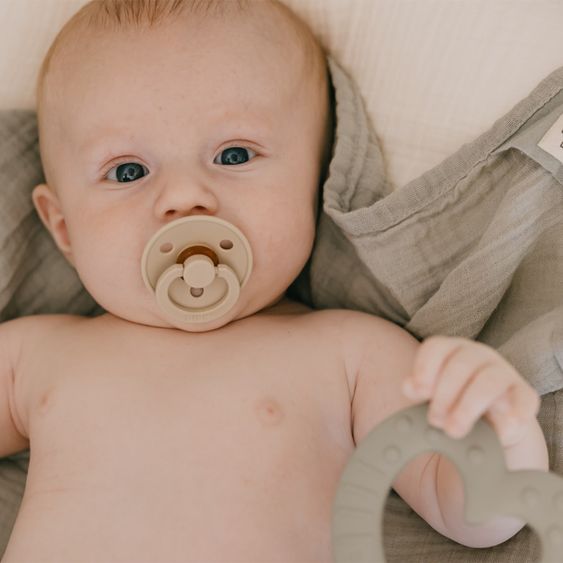 Bibs Schnuller Colour 4er Pack - Ivory / Sand / Vanilla / Dark Oak - Gr. 0-6 M