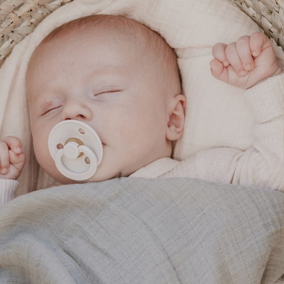 Bibs Schnuller Colour 4er Pack - Ivory / Sand / Vanilla / Dark Oak - Gr. 0-6 M