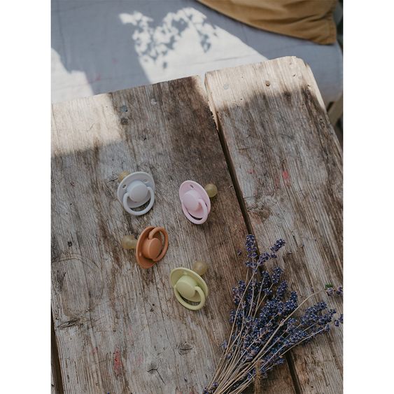Bibs Schnuller - De Lux 2er Pack - Silikon - Meadow / Earth - Gr. 0-36 M