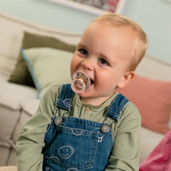 Bibs Succhietto Studio Colour 2er Pack - Blocco - Blush Mix - Gr. 0-6 M