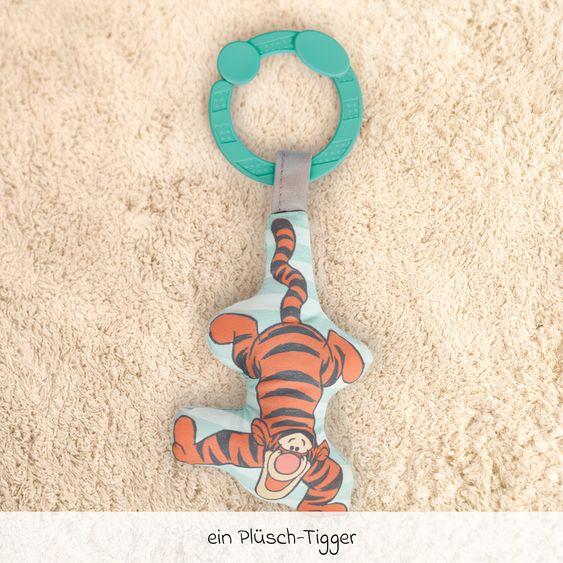 Bright Starts Spieldecke Hundred Acre Adventure™ mit Spielbogen und 5 abnehmbaren Spielzeugen - Winnie Pooh - Bunt