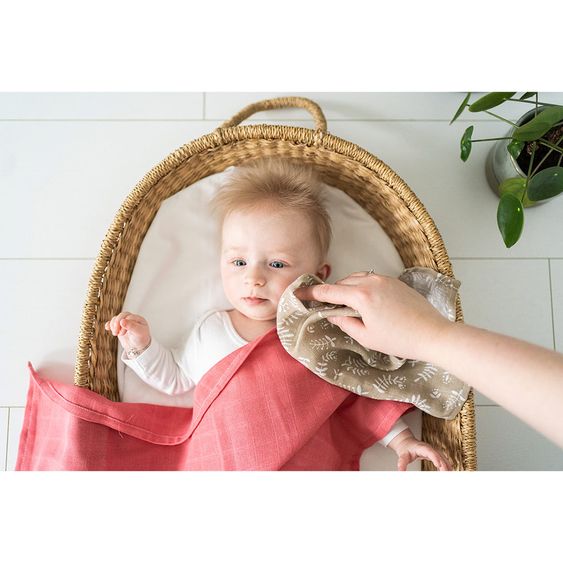 Briljant Baby Mull-Waschlappen / Pflegetuch 4er Pack 30 x 30 cm - Botanic - Organic Cotton - Sand