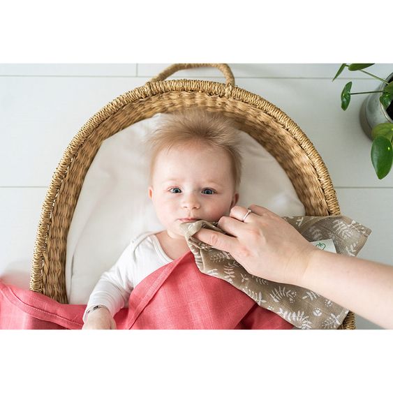 Briljant Baby Mull-Waschlappen / Pflegetuch 4er Pack 30 x 30 cm - Botanic - Organic Cotton - Sand
