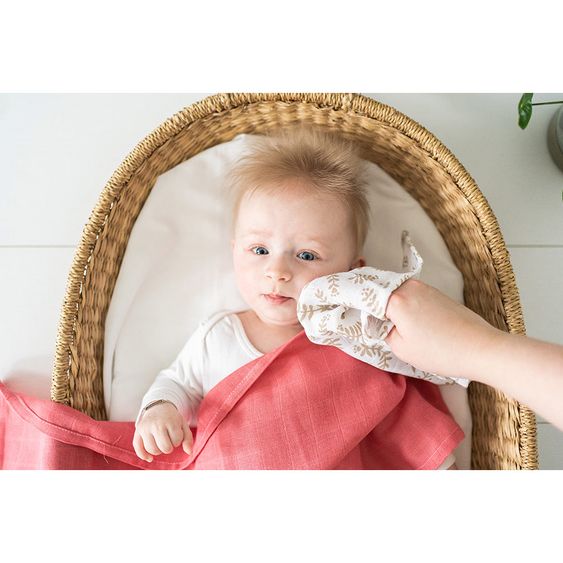 Briljant Baby Mull-Waschlappen / Pflegetuch 4er Pack 30 x 30 cm - Botanic - Organic Cotton - Sand