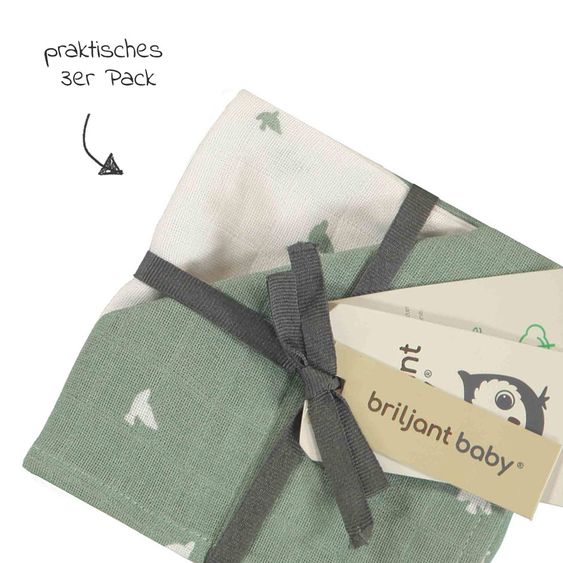 Briljant Baby Mull-Waschlappen / Pflegetuch 4er Pack 30 x 30 cm - Organic Cotton - Birds - Chinois Green