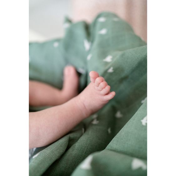 Briljant Baby Mullwindeln 4er Pack 70 x 70 cm - Organic Cotton - Birds - Chinois Green