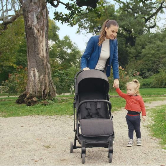 Chicco Trolley per passeggino con maniglia per il trasporto e copertura antipioggia - Pietra