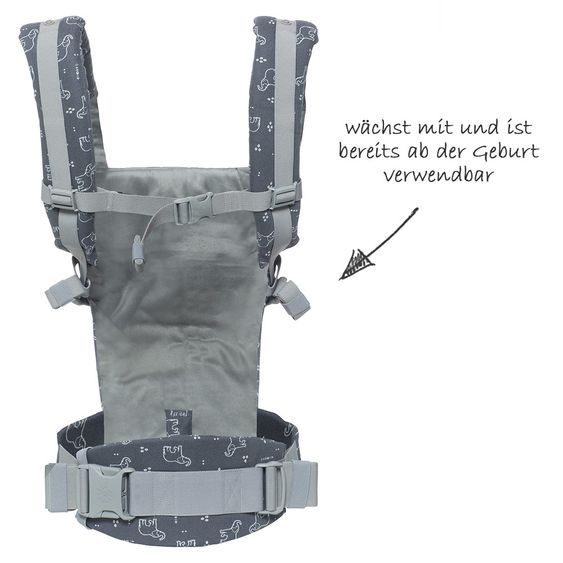Ergobaby Babytrage Adapt mit Lordosestütze - Trunks Up