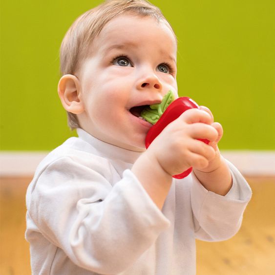 Fashy Cooling bite ring - apple