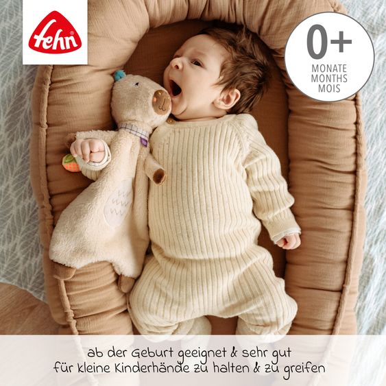 Fehn 3-tlg. Geschenk-Set zur Geburt - Schmusetuch, Spieluhr & Greifling - Capybara