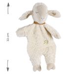 Product Image-4