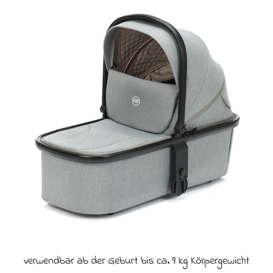 Fillikid 2-1 Combi Stroller Set Cougar up to 22 kg load capacity with carrycot, reversible seat unit, telescopic handle & accessory package - Grey