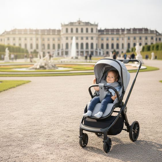 Fillikid 2-1 Combi Stroller Set Cougar up to 22 kg load capacity with carrycot, reversible seat unit, telescopic handle & accessory package - Grey