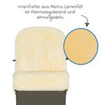 Product Image-4