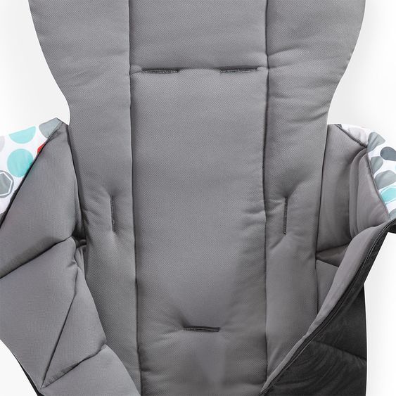 Fisher-Price Fußsack für Buggy und Kinderwagen - Black