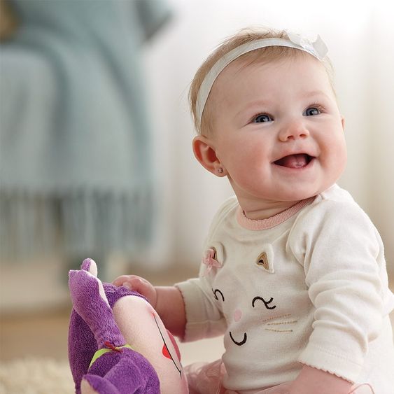 Fisher-Price Learning fun monkey