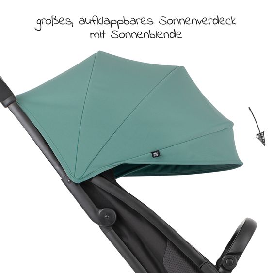 Graco Buggy & Sportwagen Myavo bis 22 kg belastbar nur 5,8 kg leicht mit Liegefunktion & Regenschutz - Mint