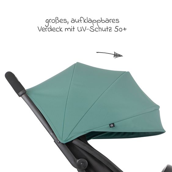 Graco Buggy- & Sportwagen Myavo bis 22 kg belastbar nur 5,8 kg leicht mit Liegefunktion & Regenschutz - Mint