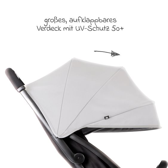 Graco Buggy & pushchair Myavo up to 22 kg load capacity only 5.8 kg light with reclining function & rain cover - Steeple Gray
