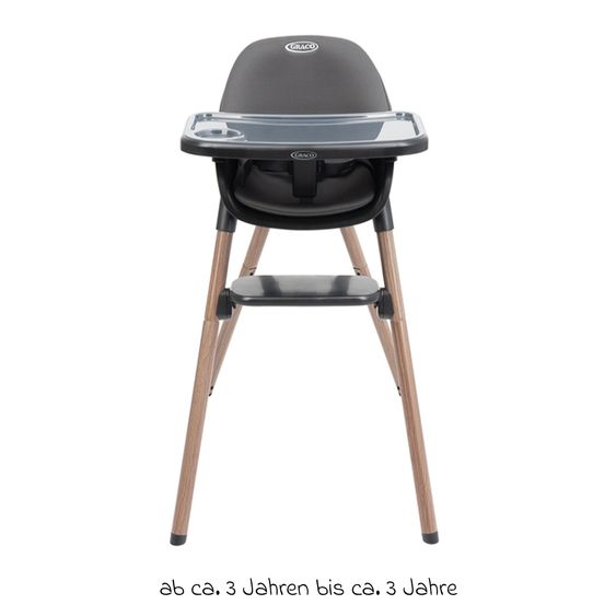 Graco Hochstuhl & Baby-Stuhl Presti ab 6 Monate nutzbar bis 27,3 kg nur 4,8 kg leicht, faltbar mit Ess-Tablett - Charcoal