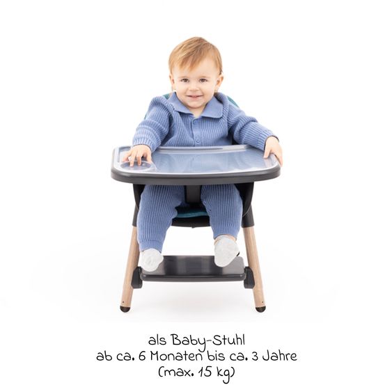 Graco Hochstuhl & Baby-Stuhl Presti ab 6 Monate nutzbar bis 27,3 kg nur 4,8 kg leicht, faltbar mit Ess-Tablett - Charcoal