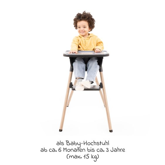 Graco Hochstuhl & Baby-Stuhl Presti ab 6 Monate nutzbar bis 27,3 kg nur 4,8 kg leicht, faltbar mit Ess-Tablett - Charcoal