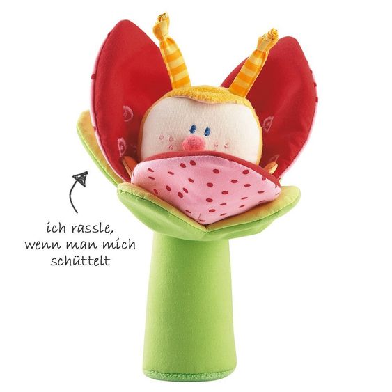 Haba Griffin beetle Trixi