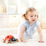 Product Image-5