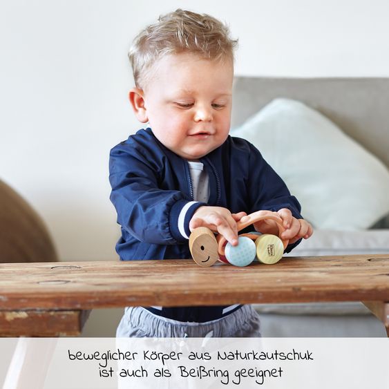 Hape Rennschildkröte - Rike