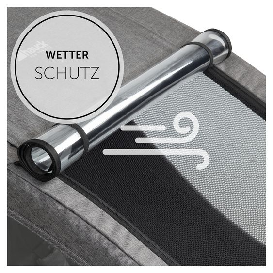 Hauck 2in1 Fahrradanhänger Dryk Duo für 2 Kinder (bis 44 kg) - Bike Trailer & City Buggy - inkl. Faltgarage - Melange Grey