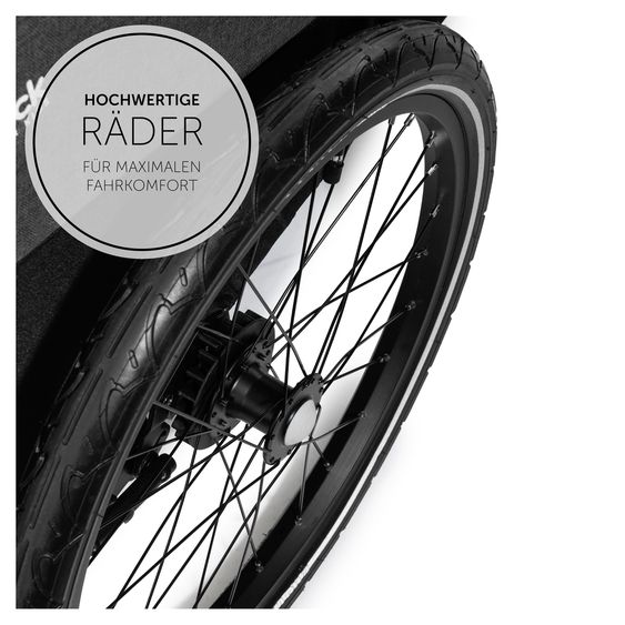 Hauck 2in1 Fahrradanhänger Dryk Duo für 2 Kinder (bis 44 kg) - Bike Trailer & City Buggy - inkl. Faltgarage - Melange Grey