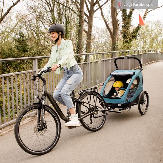 Hauck 2in1 Fahrradanhänger Dryk Duo für 2 Kinder (bis 44 kg) - Bike Trailer & City Buggy - inkl. GRATIS Schutzpaket - Melange Grey