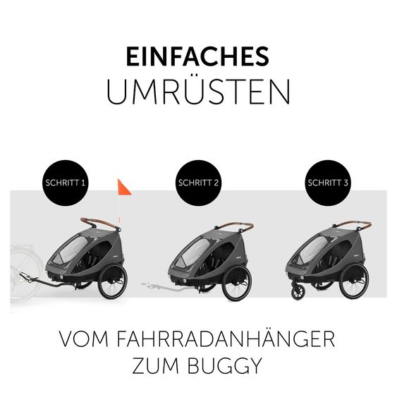 Hauck 2in1 Fahrradanhänger Dryk Duo für 2 Kinder (bis 44 kg) - Bike Trailer & City Buggy - inkl. GRATIS Schutzpaket - Melange Grey