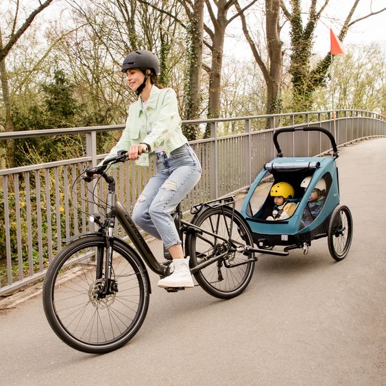 Hauck 2in1 Fahrradanhänger Dryk Duo für 2 Kinder (bis 44 kg) - Bike Trailer & City Buggy - inkl. GRATIS Schutzpaket - Ocean Green