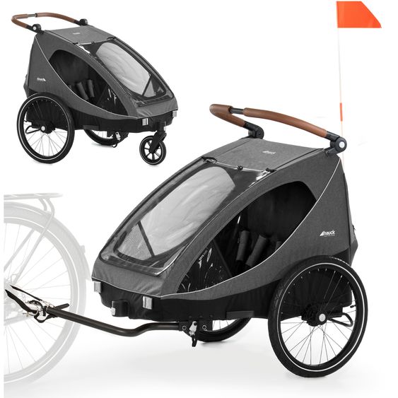 https://media.babyartikel.de/hauck-2in1-fahrradanhanger-dryk-duo-fur-2-kinder-bis-44-kg-bike-trailer-city-buggy-melange-grey-51504-d0.png?preset=large